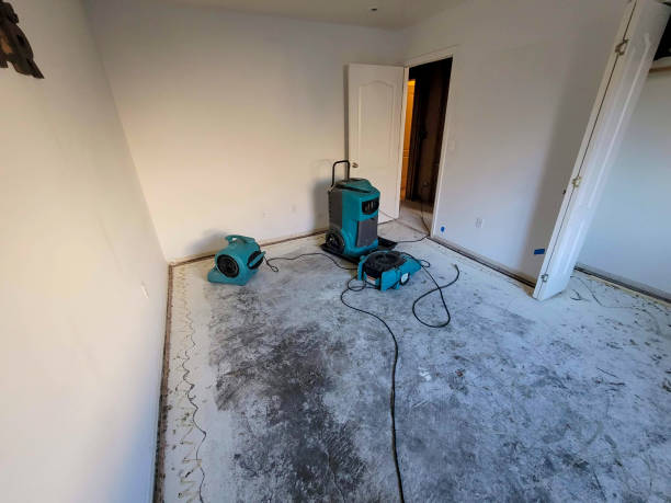 Best Water damage contractors near me  in Cayce, SC