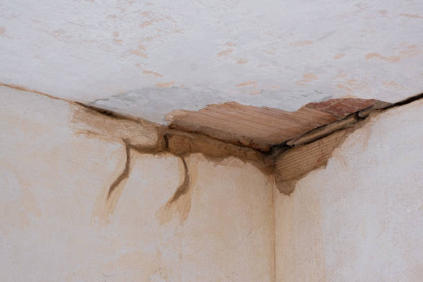 Water damage restoration insurance claims in Cayce, SC